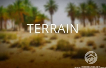 V 111 -                            Vente
                           Terrain Djerba